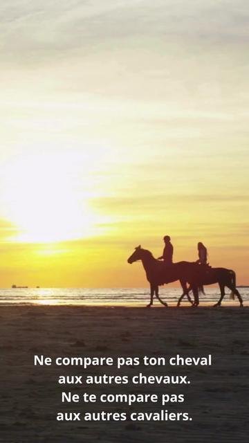 @Horsewoman Trip