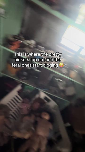 @Lauryn Alexcis
