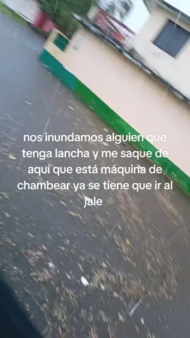 @negro jarocho