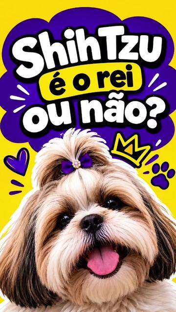 @Explore Aquii 🐾🐾✨️