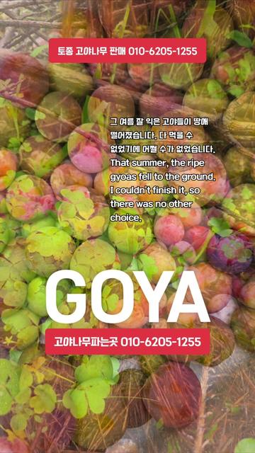 @🔥고물급남자