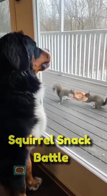 @brainmalfunctiontv