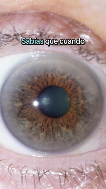 @EyesHunter