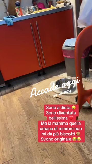 @mayafamily72