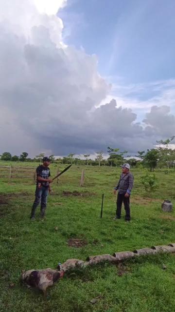 @elix D&iacute;as