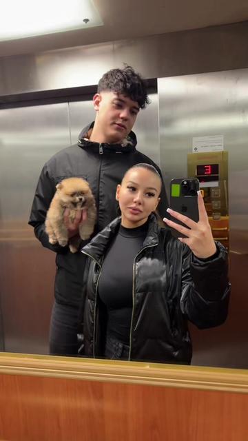@mvc