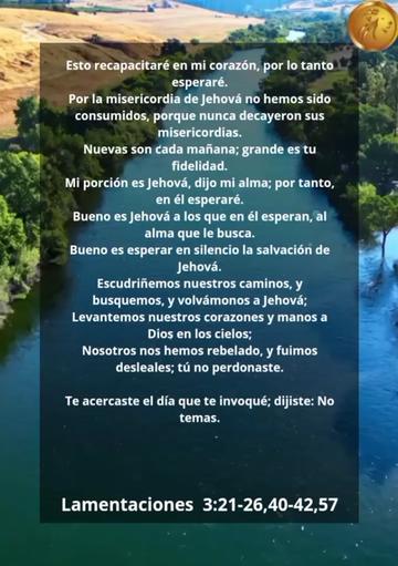 @Vicayquipa