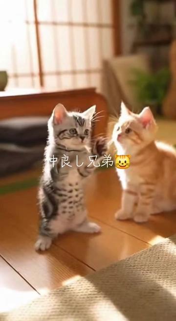 @AI動物園園長