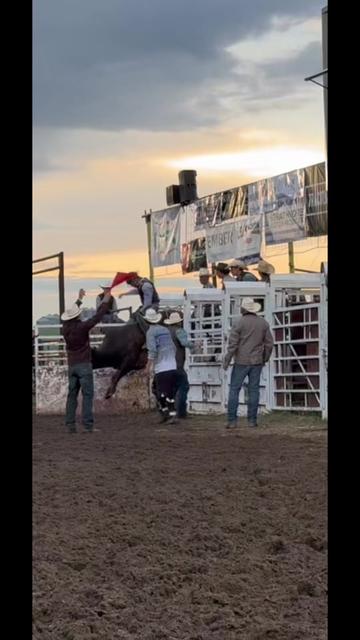 @Lazy P Rodeo