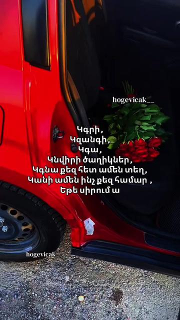 @hogevicak__