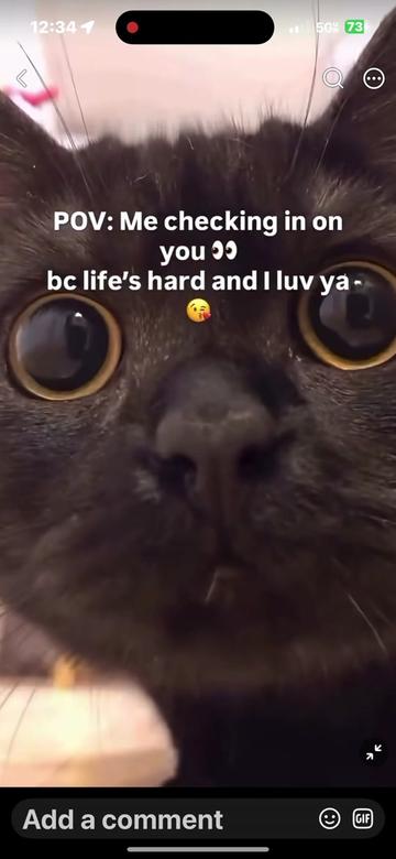 @Gigifromhappytwn
