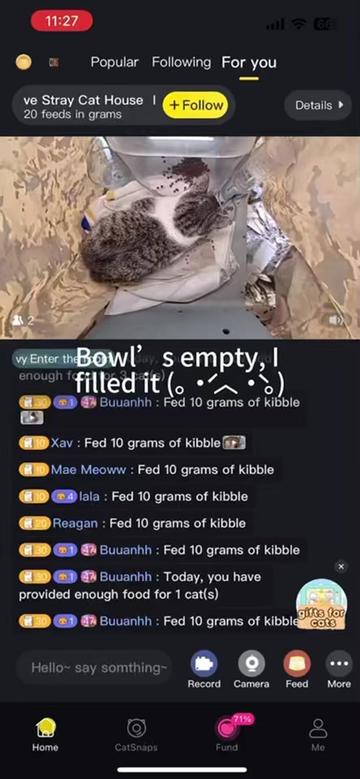 @purrrr