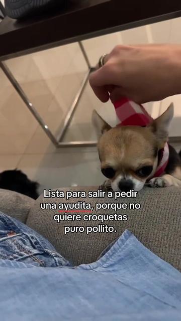 @ruthsantoyopsique