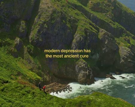 @heyden hansen