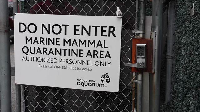 @Marine Mammal Rescue Society