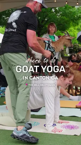@Hidden Acres Animal Sanctuary