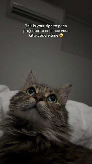 @CatLadySadie