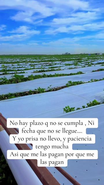 @PABLO PINEDA