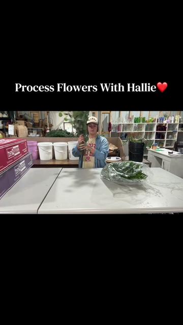 @Blessed Blooms Flower Farm🌷🪴