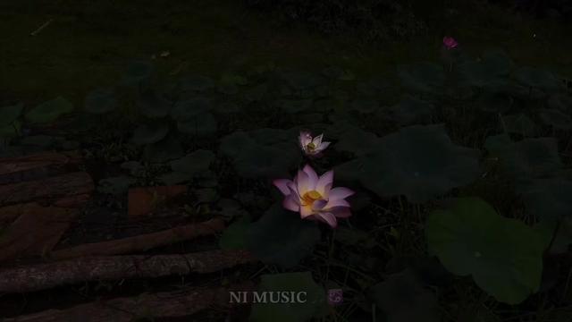 @๐๐ ๐๐๐๐๐ ๐ตโ
