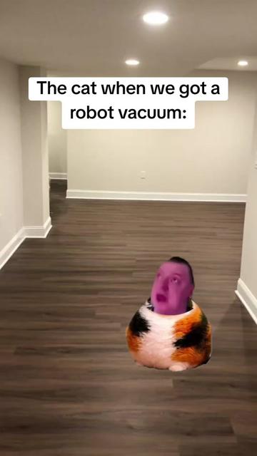 @zumemes