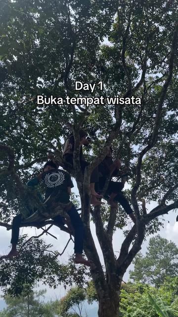 @forestpalofficial