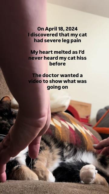 @SnickersTheSmilingCat