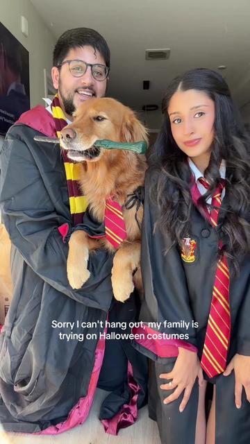 @Bentley the Spicy Golden🌶️
