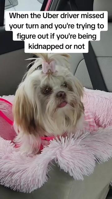 @Little Miss Mollie