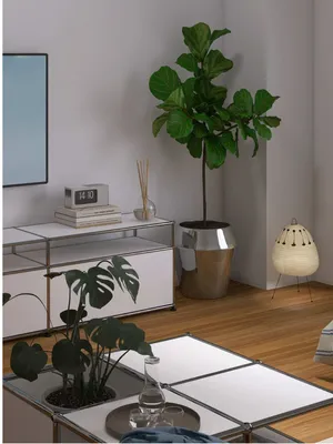 @みち｜センスのいらない部屋づくり
