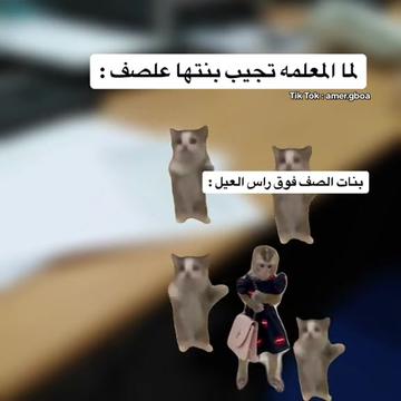 @אמיר גבועה 🦅🤍.