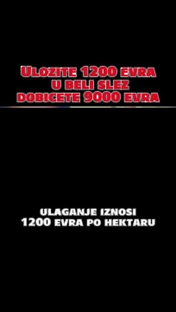 @zdrava_prica