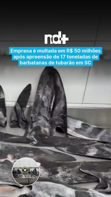 @portalndmais