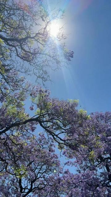 @Nkatie💖🇿🇦