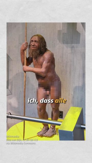 @Niklas Kolorz