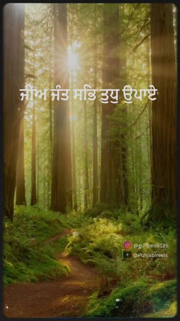 @Punjabireels
