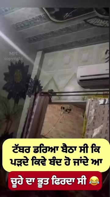 @ਮਿਨਹਾਸ ਰਾਜਪੂਤ