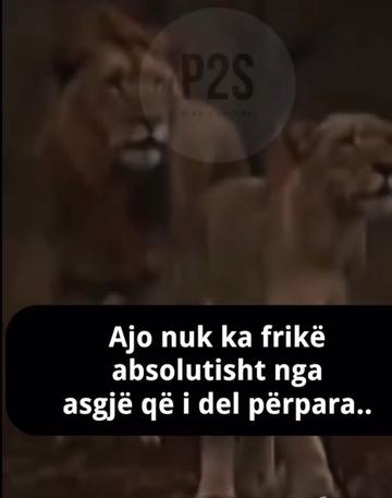 @Je Suis Mela