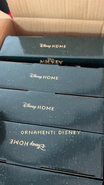 @✨Silvia Palmieri | Disney 🎡