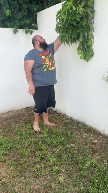 @El socotroco