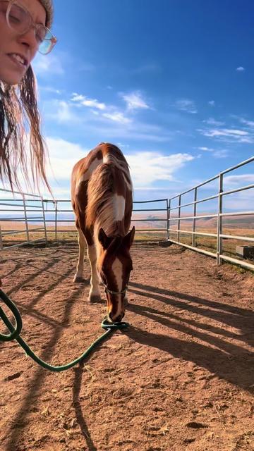 @Cowgirl Tuff Colt Training ❤️