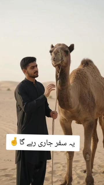 @👑 𝑳𝒂𝒅𝒍𝒂 𝑯𝒖𝒛𝒂𝒊𝒇𝒂