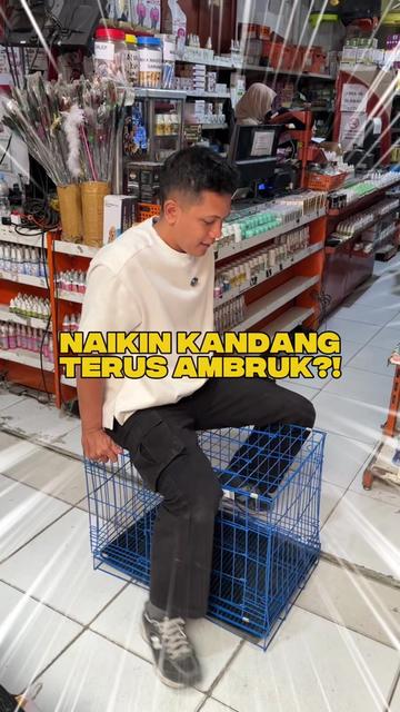 @bejo petmart