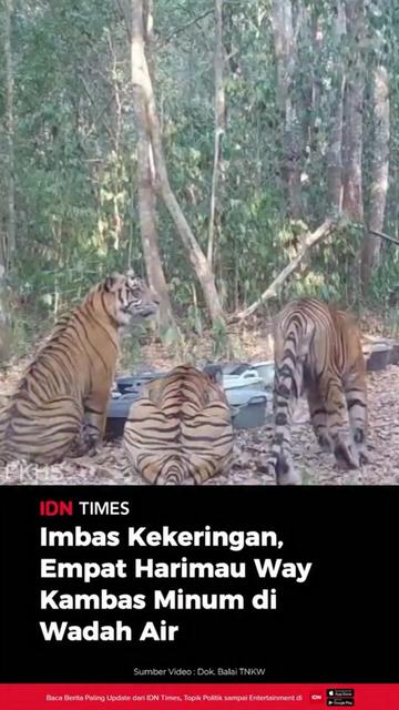 @IDN Times