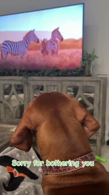 @Mater