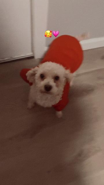 @iris30192