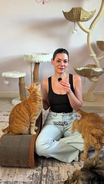 @Feminist Kitty | Cat Nutrition