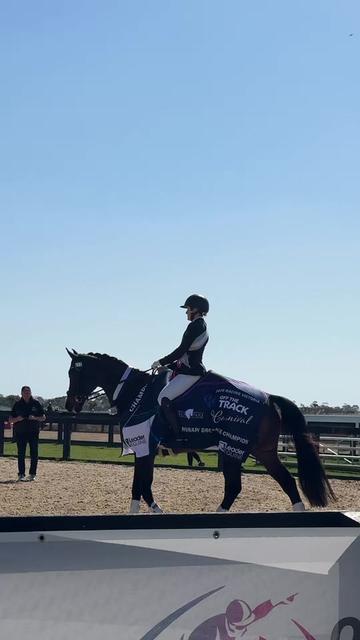 @Leader Equine