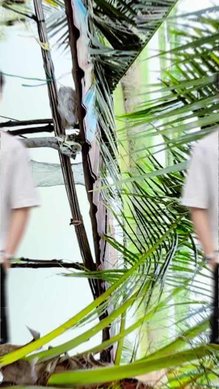 @shop đồ tổng hợp