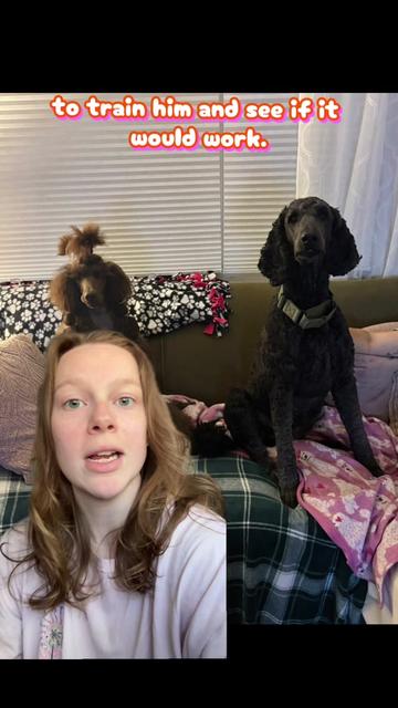 @Maddie, Jovie & Nessie💛🤎🐩